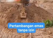 Viral Tambang Emas Ilegal di Tumbang Titi, Warga Desak Pemerintah dan Polisi Bertindak Cepat