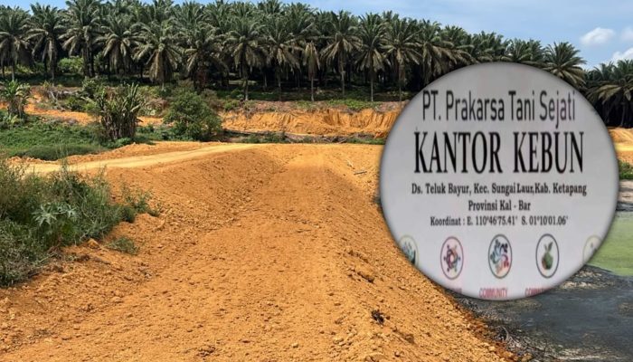 Dokumen 1998 Izinkan 7 Kolam, Lapangan Justru 9: Dugaan Langgar Izin PTS Teluk Bayur Kian Jelas
